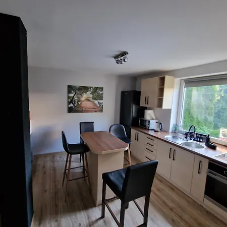 Apartamenty Pod Sosnami Ostroda Miedzylesie 6Os Room photo