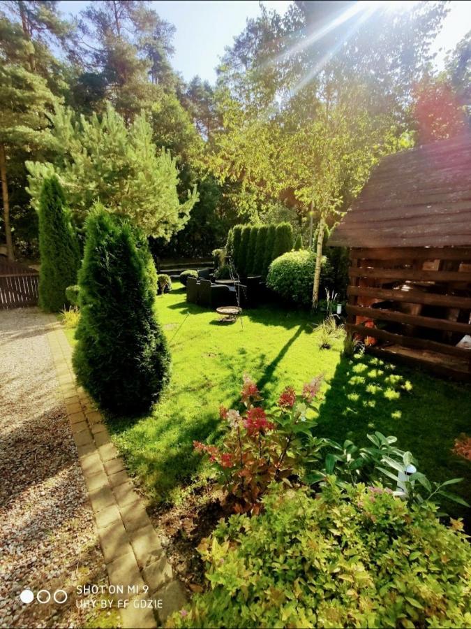 Pod Sosnami Miedzylesie 6os Homestay