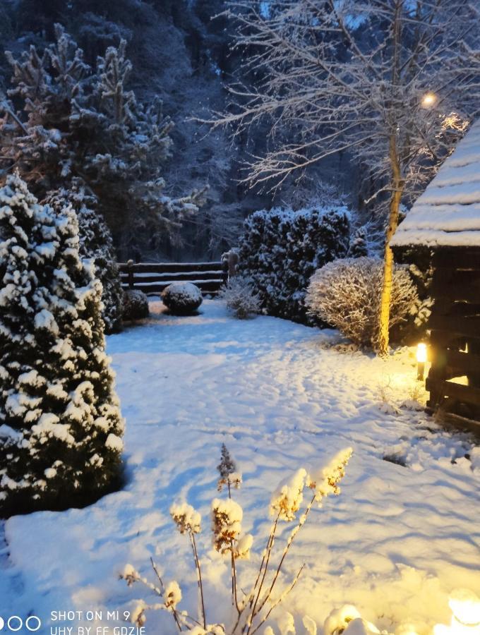 Homestay Pod Sosnami Miedzylesie 6os *