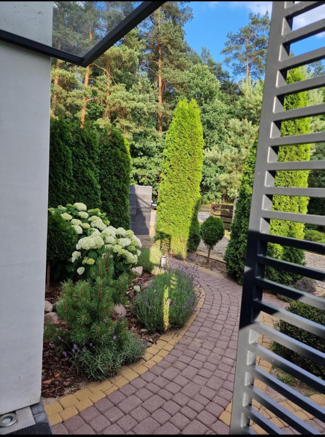 Pod Sosnami Miedzylesie 6os Homestay