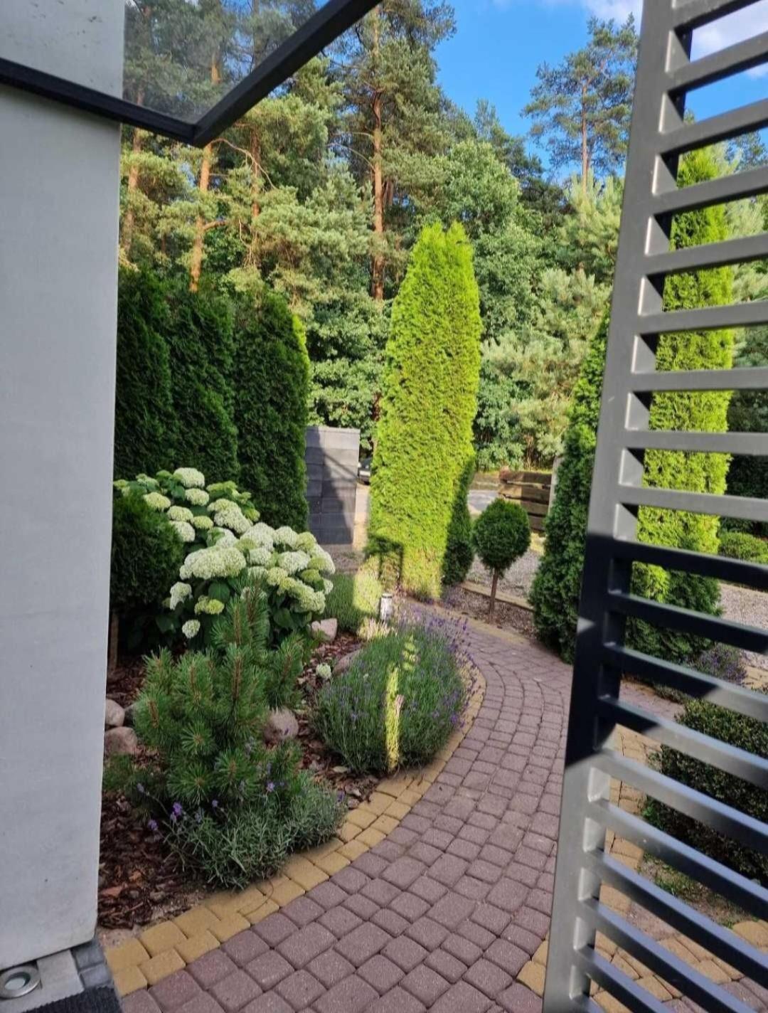 Homestay Pod Sosnami Miedzylesie 6os Ostroda